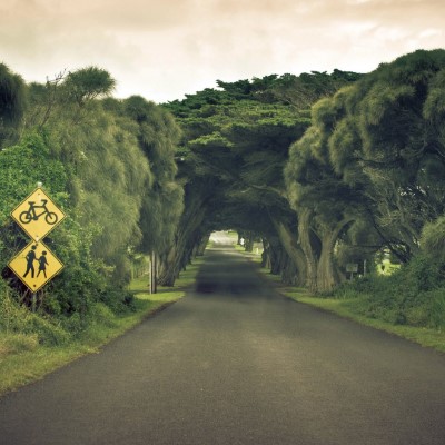 1920 x 1080 HD Wallpapers 282